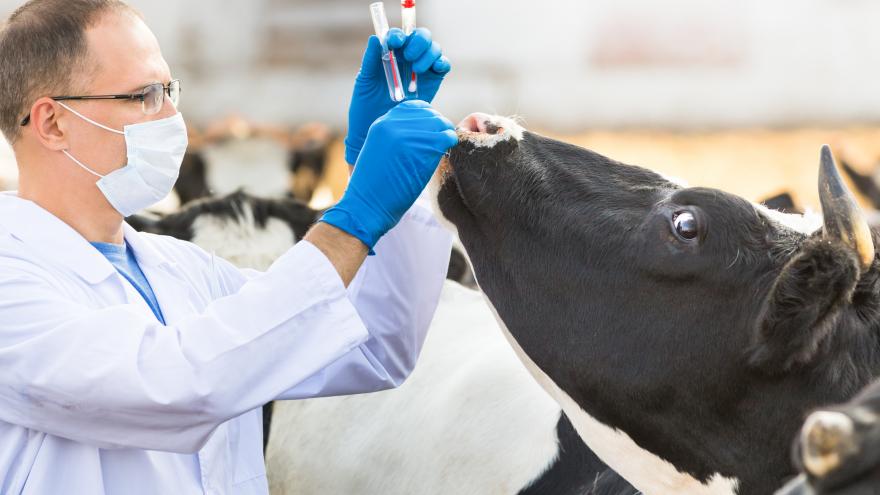 Veterinary medicines
