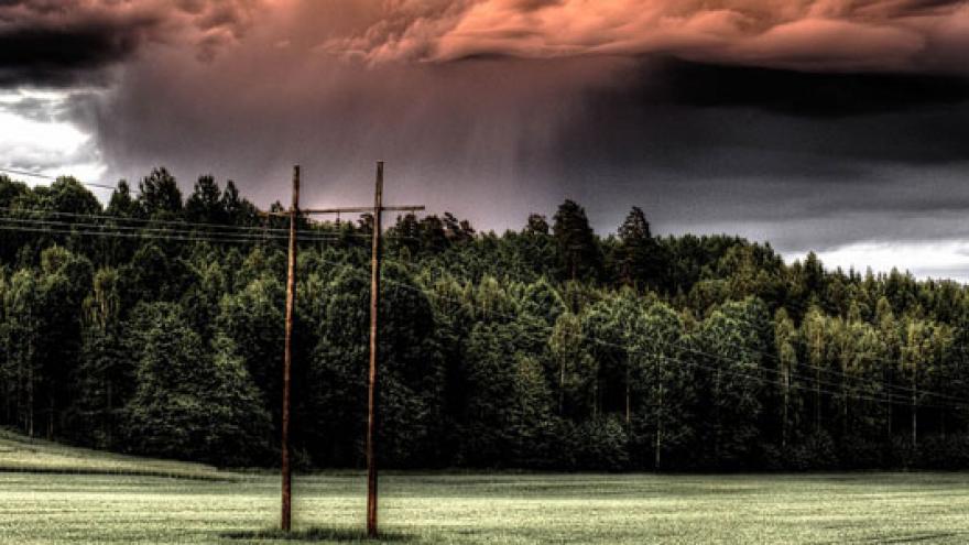 Tormenta en bosque