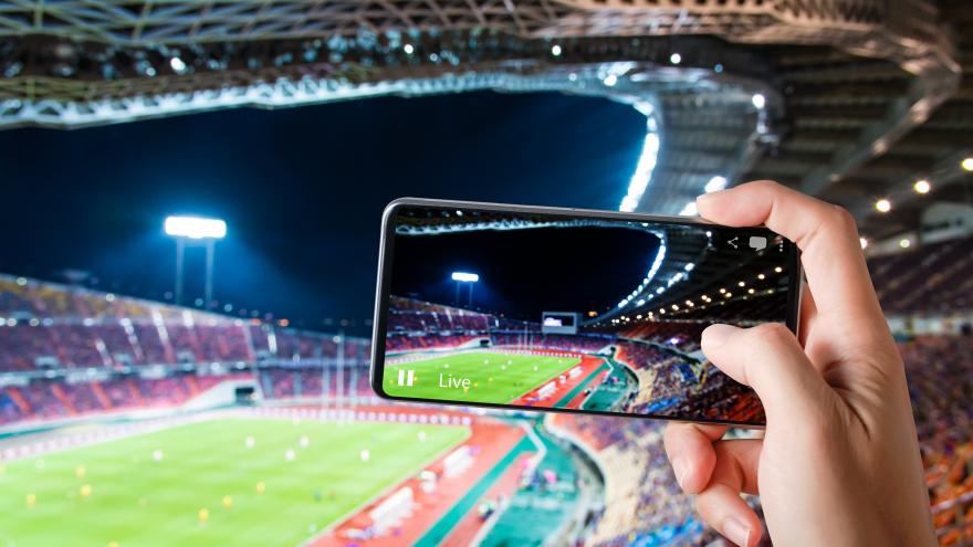 Apostamos por la innovación y digitalización del sector deportivo para adaptarse a la situación generada por el COVID-19