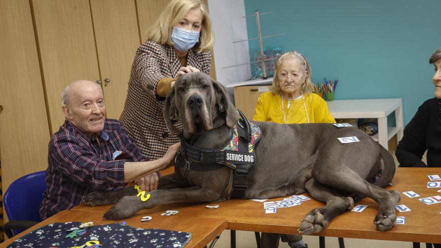 La consejera junto a personas mayores acariciando un perro