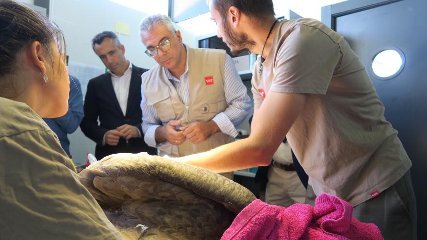 Carlos Izquierdo visita el Centro de Recuperación de Animales Silvestres (CRAS) con motivo del Día Mundial de los Animales