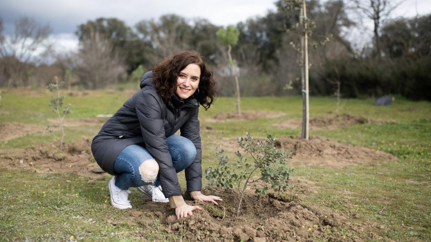 Isabel Díaz Ayuso en la plantación de 350 árboles en Boadilla del Monte