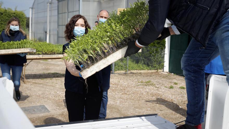 Isabel Díaz Ayuso durante la presentación de un plan de ayudas a los agricultores y ganaderos por el COVID-19