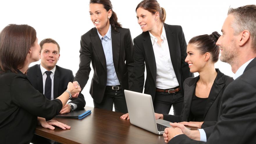 Inspectores