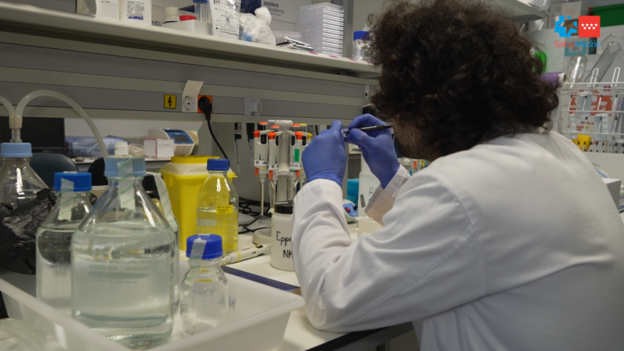 La sanidad pública madrileña, pionera mundial al tratar con éxito una enfermedad rara autoinmune con terapia CAR-T (clonado)