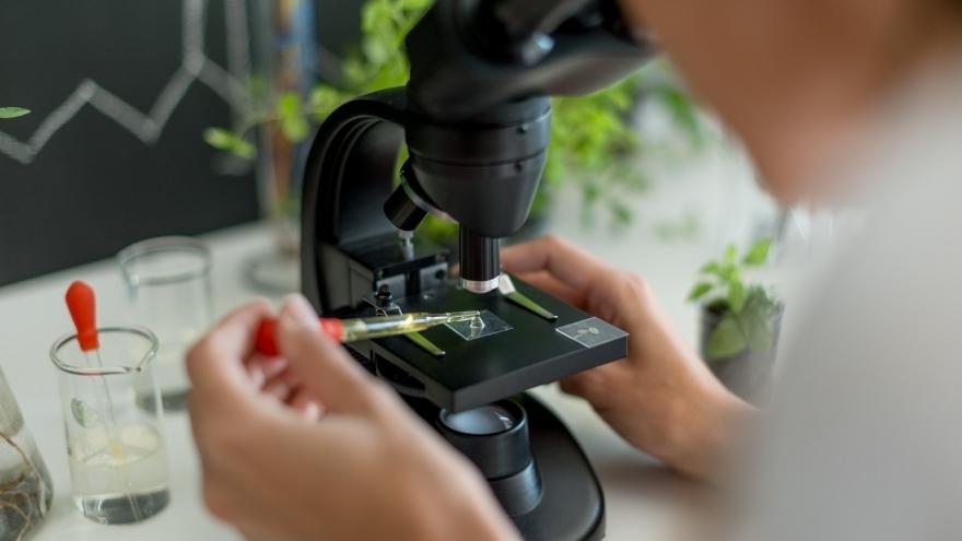 Destinamos 10 millones para la contratación de investigadores en situación de desempleo