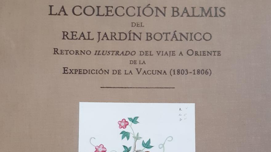 La colección Balmis del Real Jardín Botánico