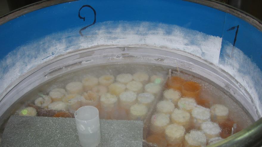 conservación de muestras de laboratorio