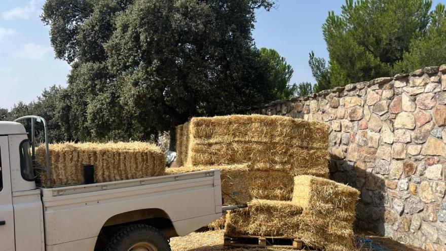 Imagen de cabecera #0 de la página de "La Comunidad de Madrid reparte 600 kilos de alimentos entre la fauna autóctona afectada por el incendio de Tres Cantos"