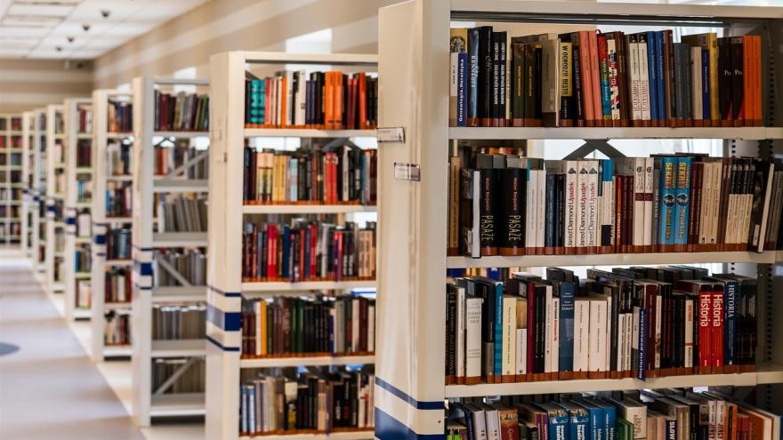 Libros colocados en estanterías