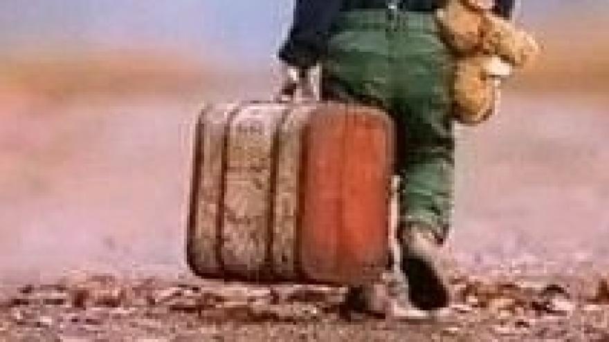 Maleta viajera d d