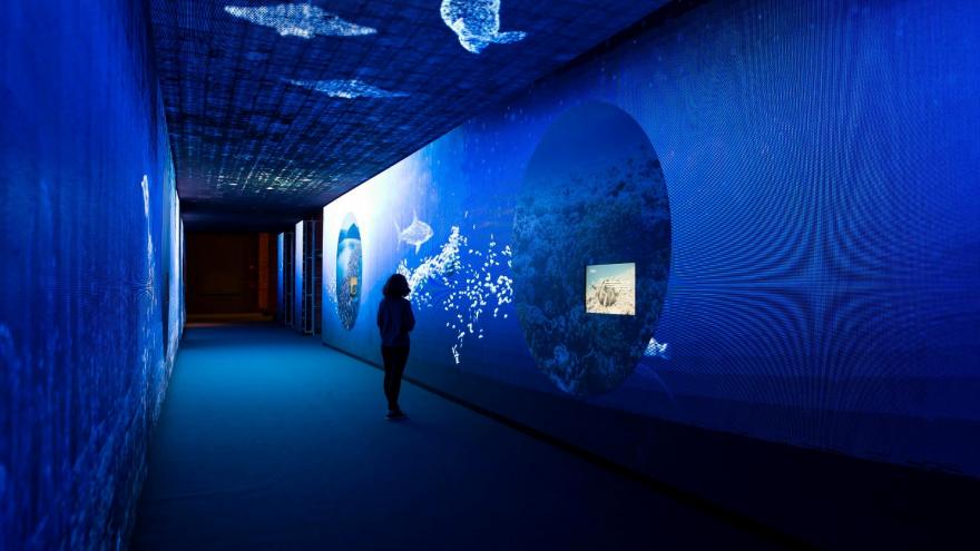 Una pared de la exposición Somos agua