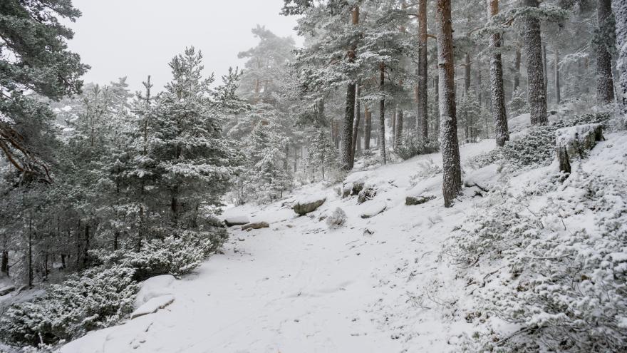 Puerto de Navacerrada