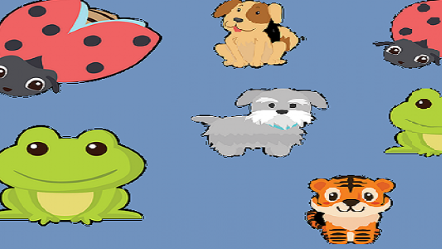 cuentacuentos animaladas