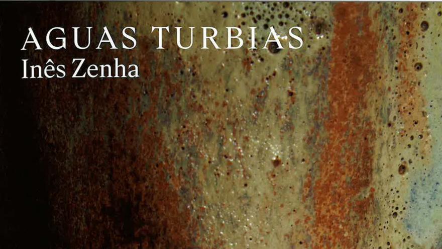 Portada de la publicación Aguas Turbias