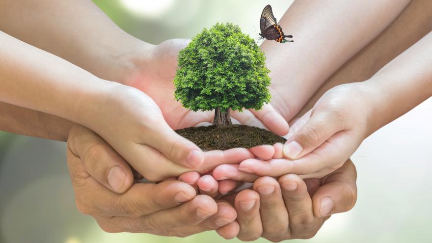 Protección del medioambiente
