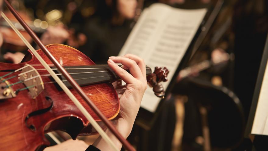 A viola in a concert