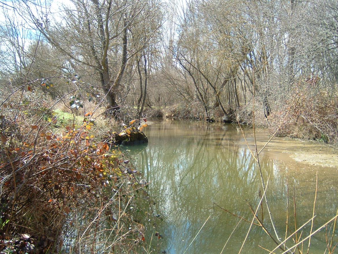 No quiero biología Humorístico Parque Regional del Curso Medio del río Guadarrama y su entorno | Comunidad  de Madrid