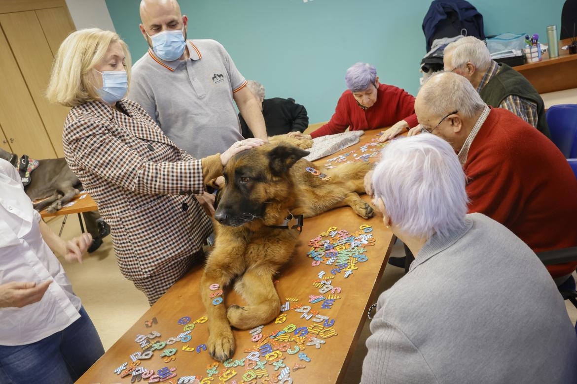 Foto cedida por CAM Foto cedida por CAM