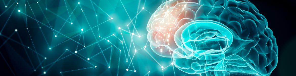 Ilustración del cerebro con parte occipital iluminada con color rojo y el resto iluminado en tonos azules