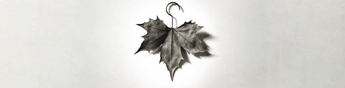 CHEMA MADOZ 2023