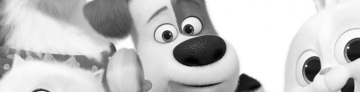 Mascotas 2 imagen de varios animales de la película mascotas 2