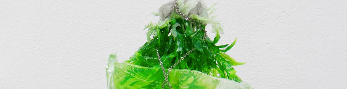 Hanging object made of vegetables on a plastic bag