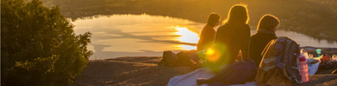 Foto Historia Social Única