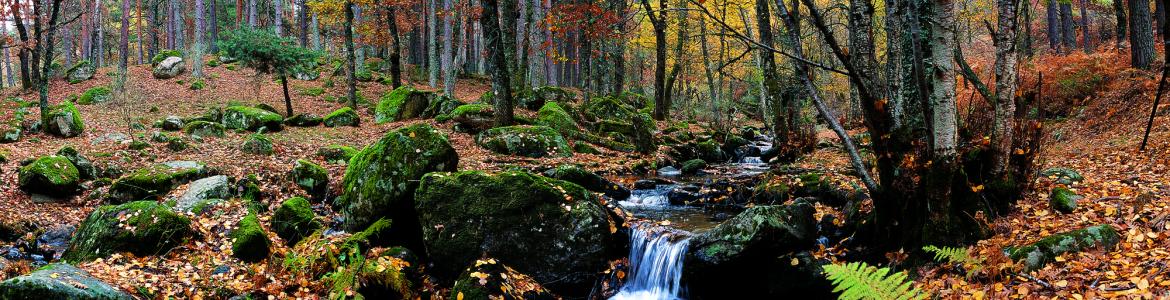 Sierra del Rincón