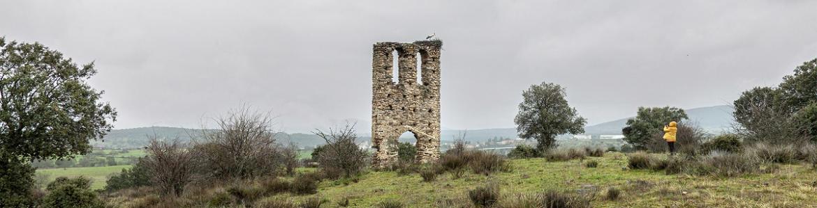 REGIÓN Beatriz S González