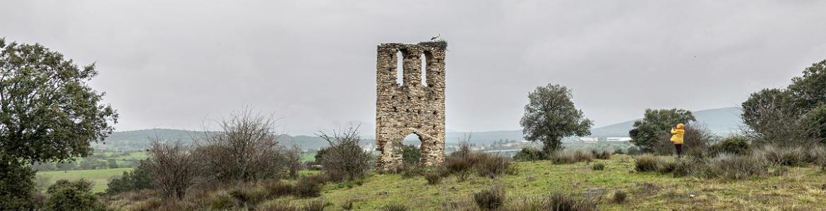 REGIÓN Beatriz S González