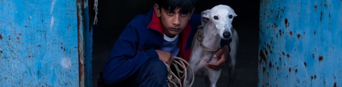 Ciudad sin sueño d d