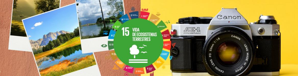 concurso_fotografia_medio