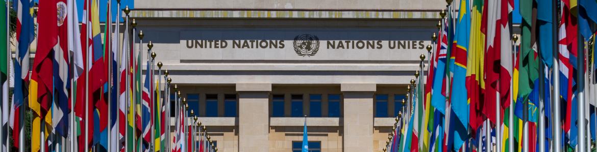 Edificio de las Naciones Unidas en Ginebra, flanqueado por un pasillo de banderas de distintos países