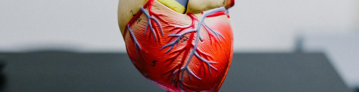 Imagen corazón