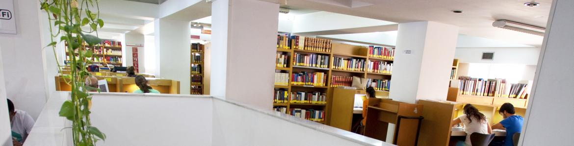Manuel Alvar_escalera