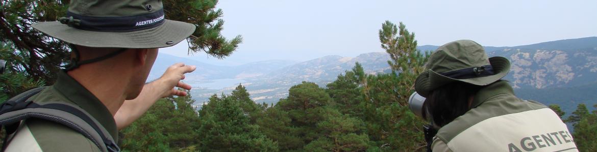 Agentes Forestales en un puesto vigilando el monte