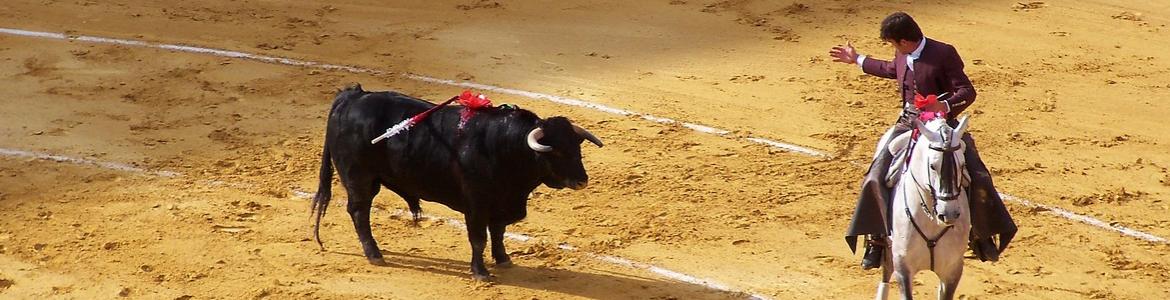 Corrida de toros