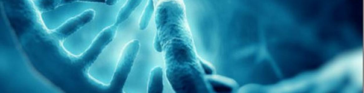 Curso Oftalmogenética La Paz