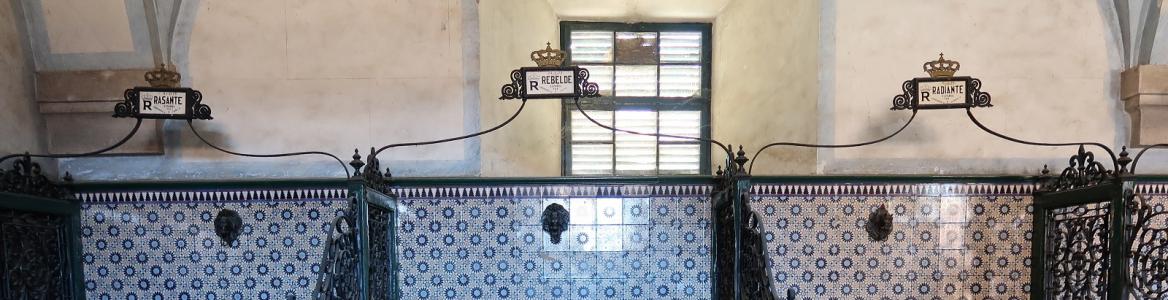 Dehesa y casa de Monta