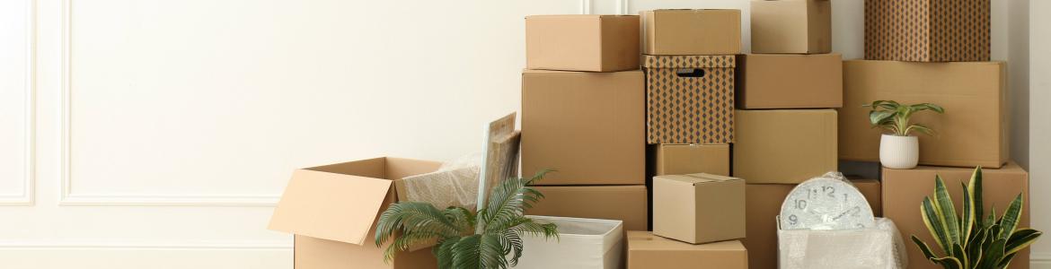 cajas mudanza