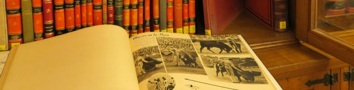 Biblioteca Taurina de Las Ventas