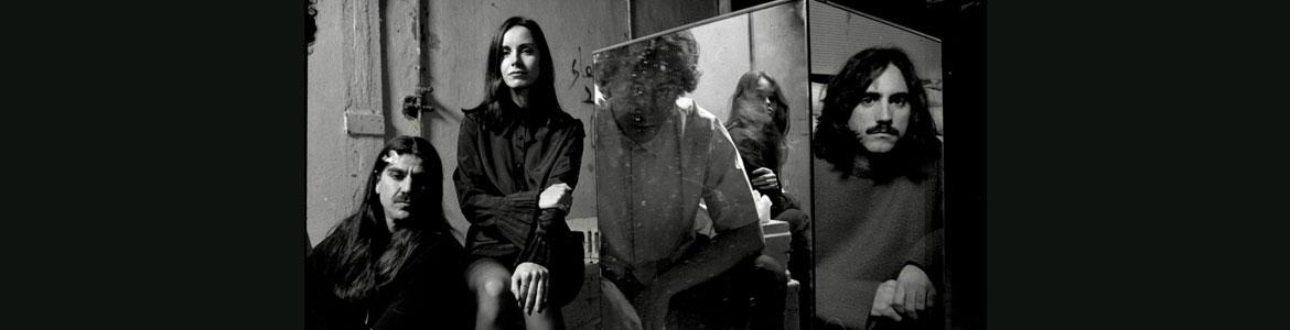 Gazella Foto de Gazella