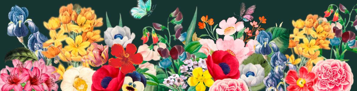 Latidos de ida y vuelta. Latidos de libro. Mesa redonda de música