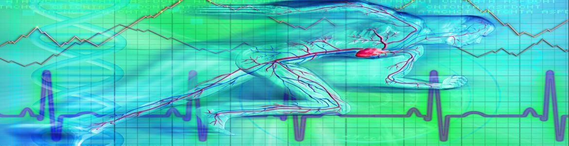 Línea de electrocardiograma sobre silueta humana en actitud deportiva