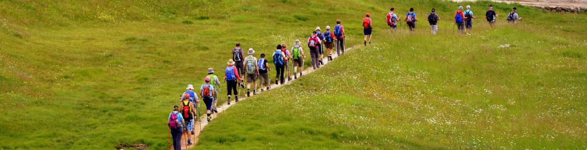 People walking in a row through a green field