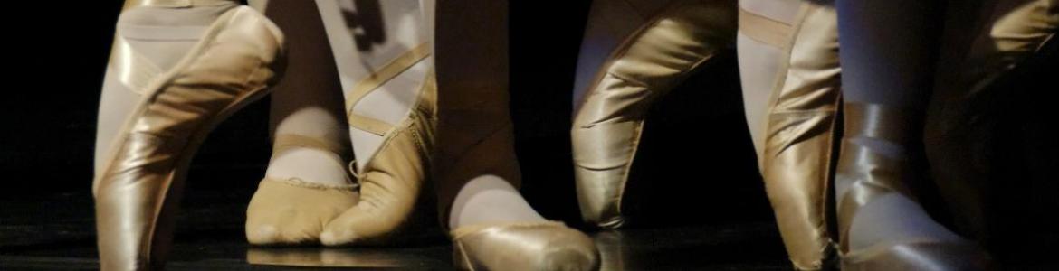 danza zapatillas