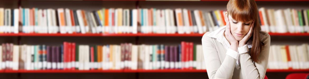 Bookstore bookcase full of books