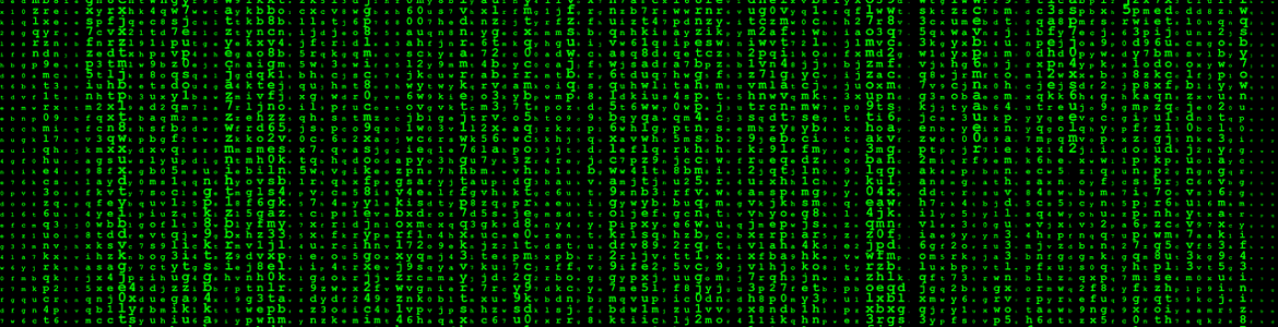 matrix on a computer screen