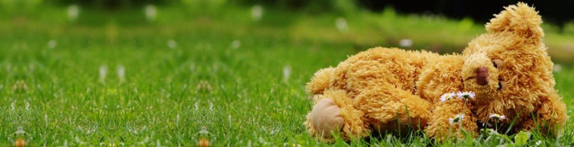Oso de peluche dormido